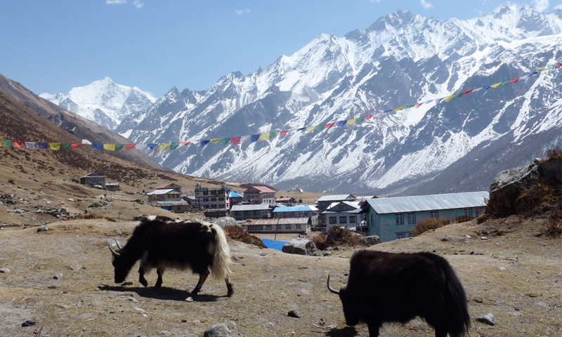 Langtang Trek and  Gosaikunda Darshan