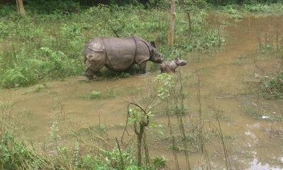 Kathmandu, Pokhara & Chitwan Jungle Safari 7N & 8D